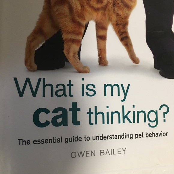 BOOK What is my cat thinking? Essential guide to animal behavior Gwen Ba… - Picture 6 of 11